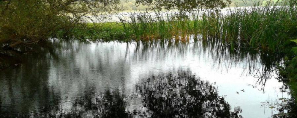 Lagoa de Sobrado