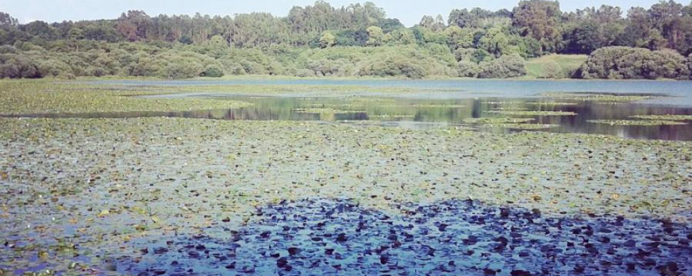 Lagoa de Sobrado