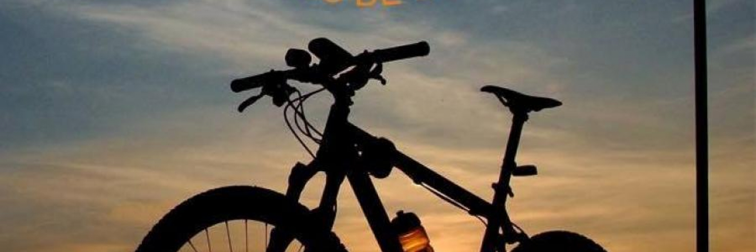 XI Día da Bici