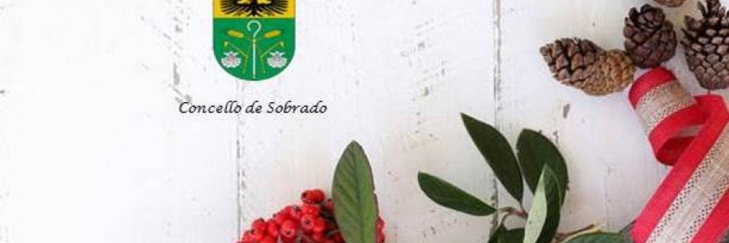 FELICES FESTAS!!!