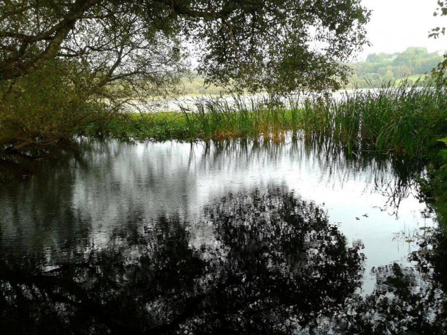 Lagoa de Sobrado