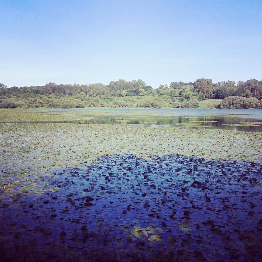 Lagoa de Sobrado